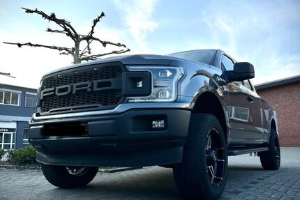 Ford F 150 191.500 km 19.499 &euro; Münster 48163