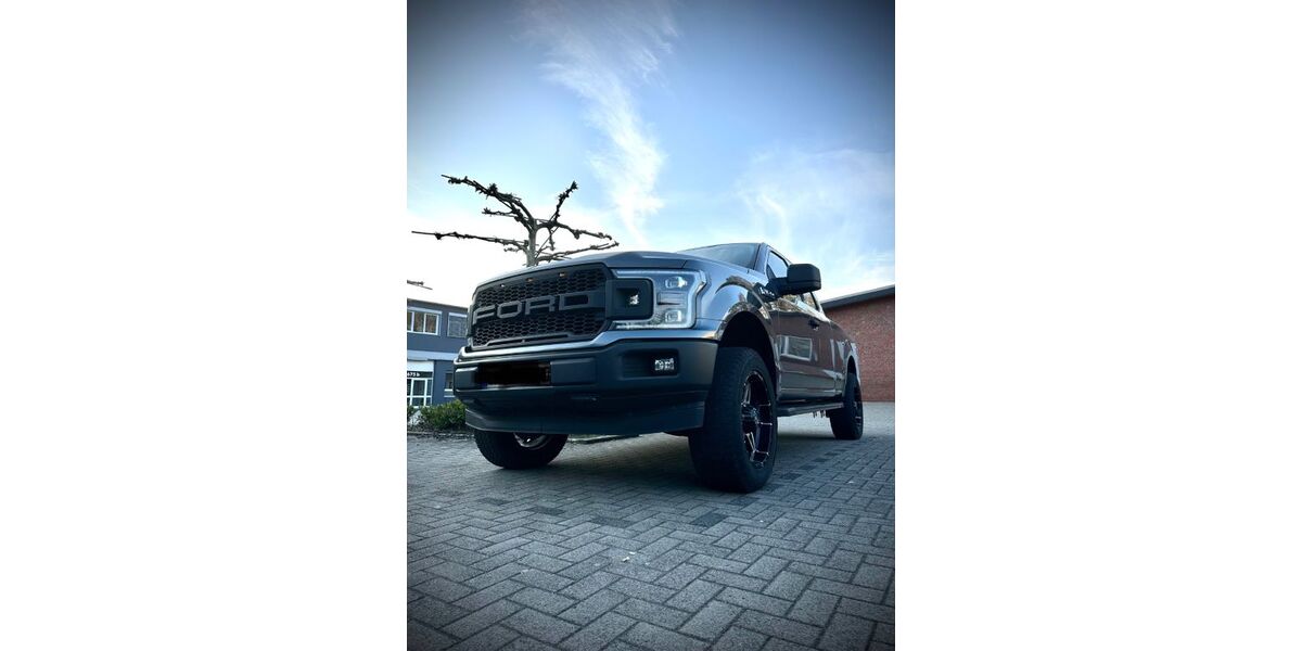 Ford F 150 191.500 km 19.499 &euro; Münster 48163