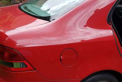 Saab 9-3 253.000 km 2.500 &euro; Herzebrock-Clarholz 33442