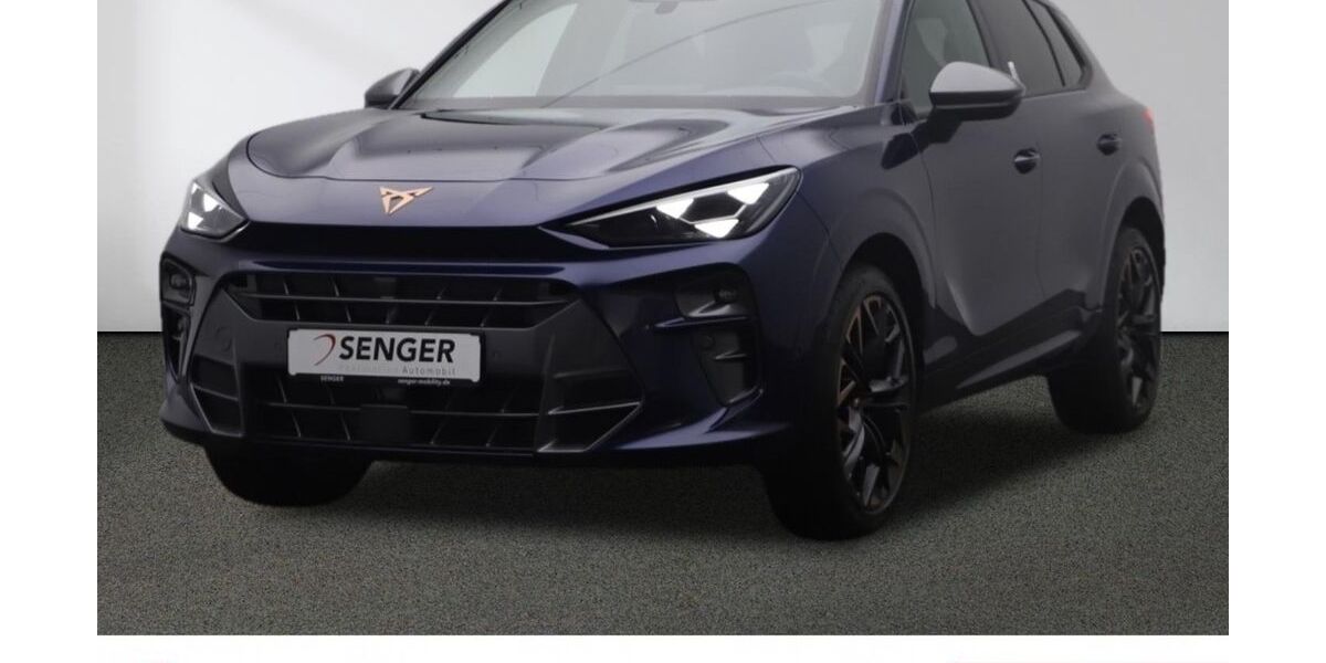 Cupra Terramar 8.000 km 42.980 &euro; Münster 48157