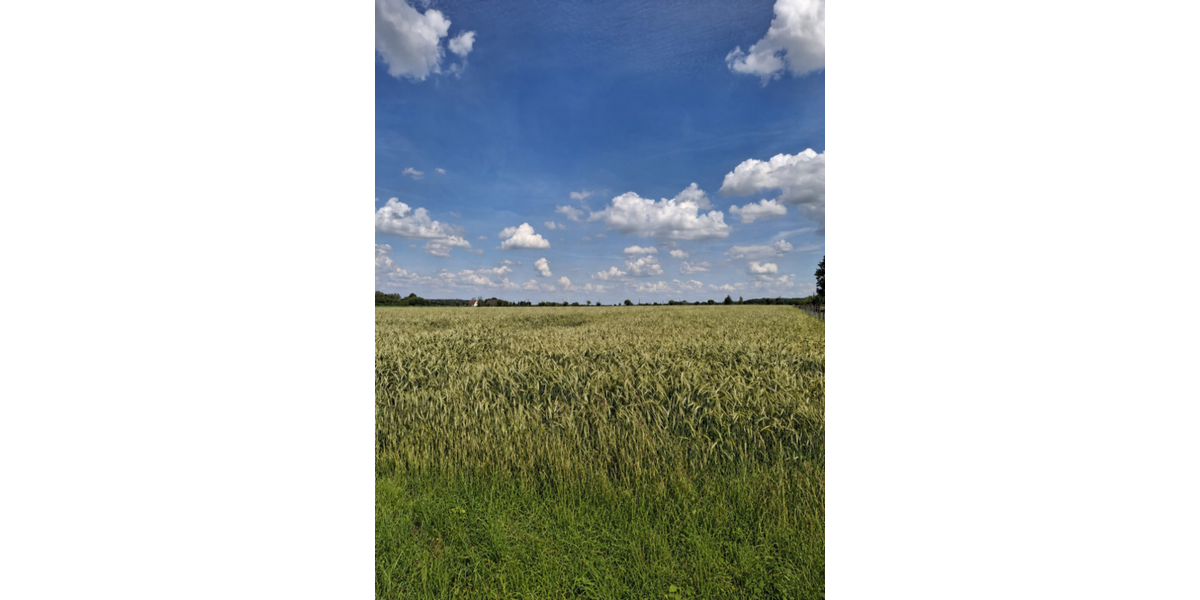 landwirtschaftliche Ackerfläche in Beckum zu verkaufen - Grundstück Beckum | Angebot:27178208