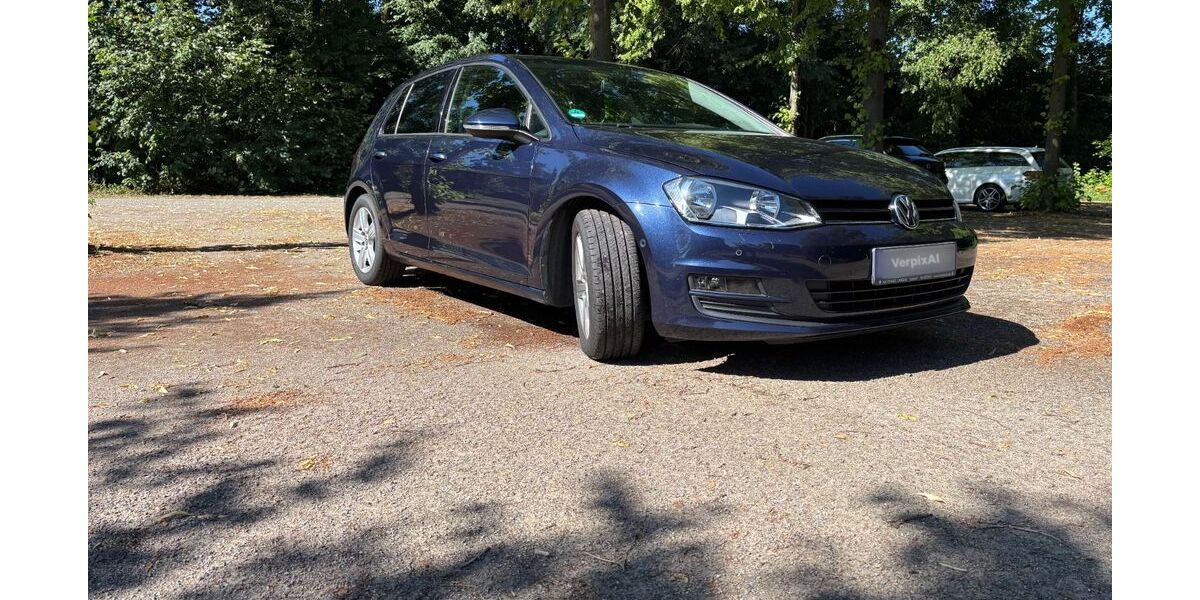 VW Golf 175.000 km 7.400 &euro; Sassenberg 48336