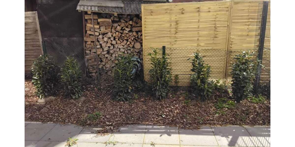 Etagenwohnung Münster Angelmodde - 4 Zimmer, 119 m&sup2;, 577.000&euro; | Angebot:26189521