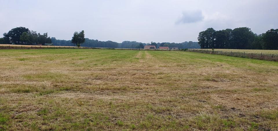 Einfamilienhaus Ennigerloh - 10 Zimmer, 250 m&sup2;, 650.000&euro; | Angebot:25380800