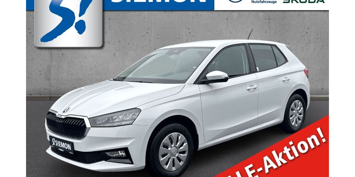 Skoda Fabia 1.500 km 19.930 &euro; Münster 48153