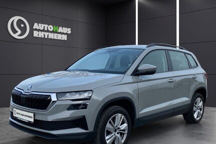 Skoda Karoq 91.100 km 20.890 &euro; Hamm 59069