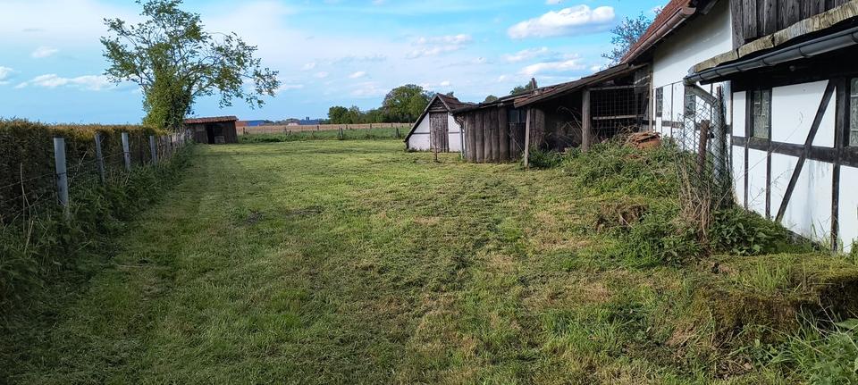 Einfamilienhaus Ennigerloh - 10 Zimmer, 250 m&sup2;, 550.000&euro; | Angebot:26754243