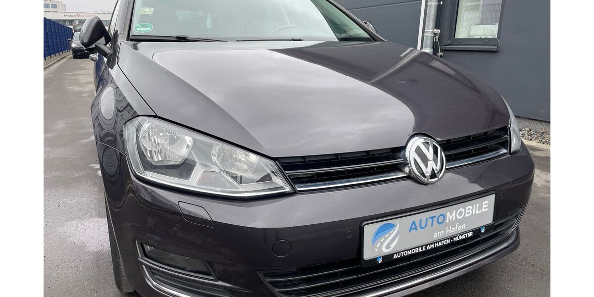 VW Golf 117.000 km 12.490 &euro; Münster 48155