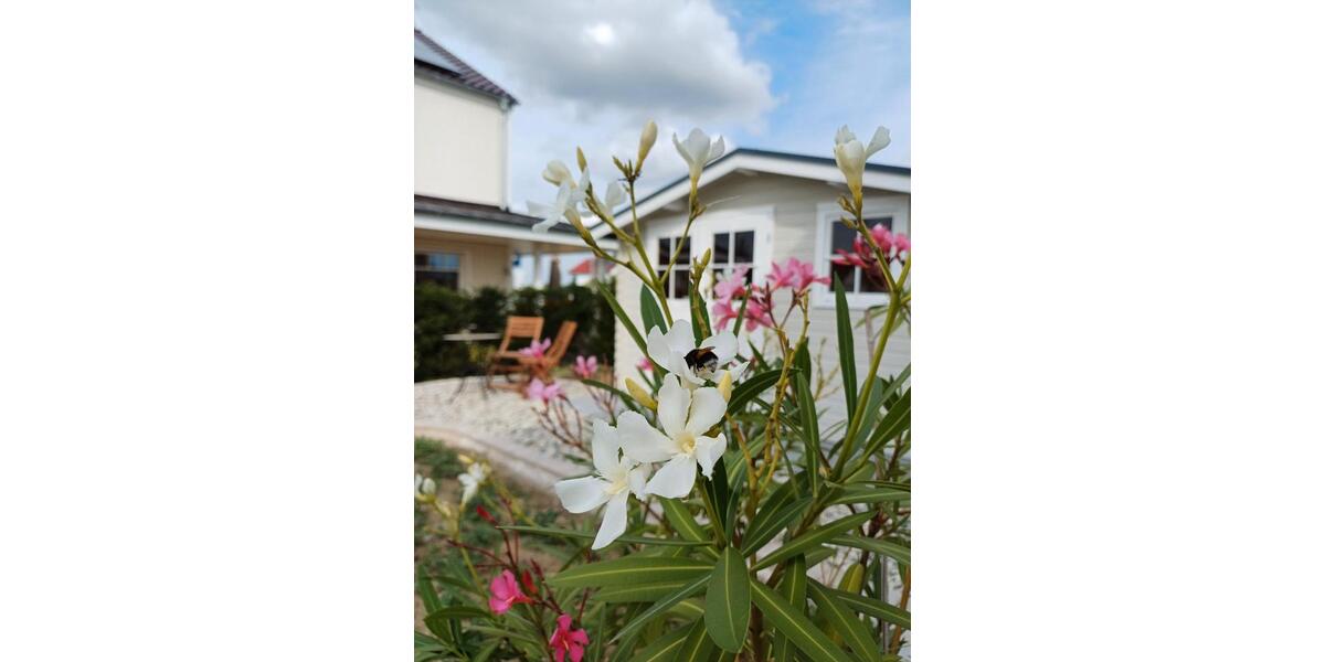 Einfamilienhaus Soest - 6 Zimmer, 158 m&sup2;, 795.000&euro; | Angebot:26325982