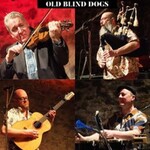 Old Blind Dogs