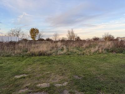BAUEN MIT WEITBLICK  SELTENE TOP-HANGLAGE - Grundstück Langenberg | Angebot:26161259
