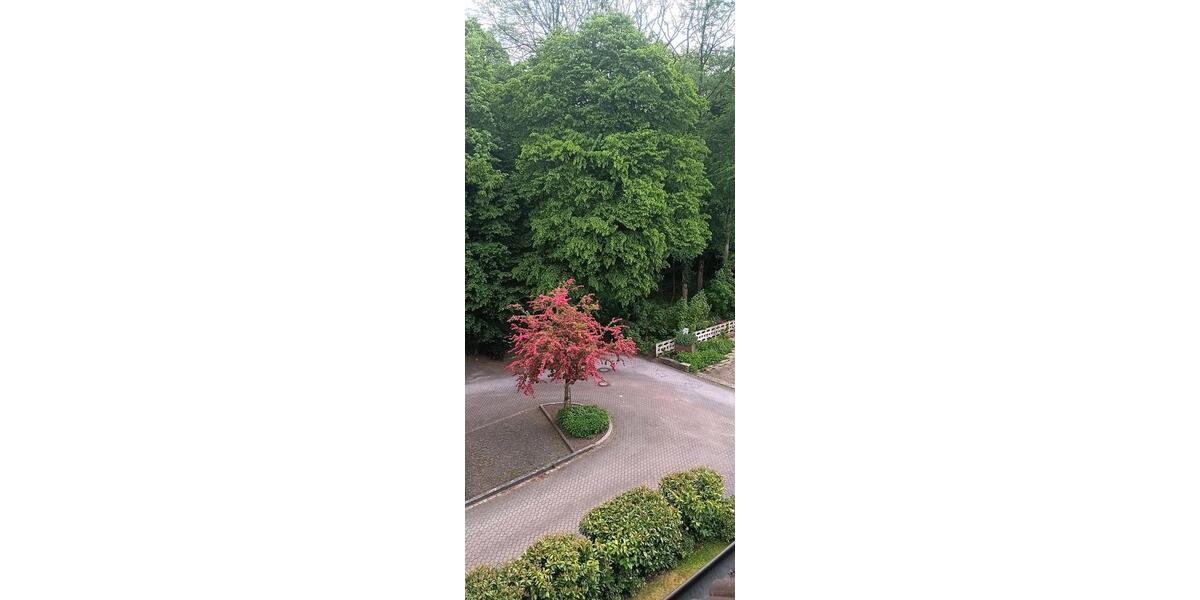 Dachgeschoßwohnung Selm - 2 Zimmer, 65 m&sup2;, 590&euro; | Angebot:26134660