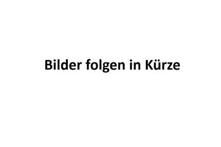 Skoda Kamiq 81.000 km 18.690 &euro; Sassenberg 48336