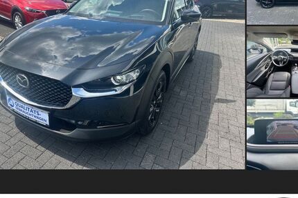 Mazda CX-30 7.204 km 25.490 &euro; Kamen 59174