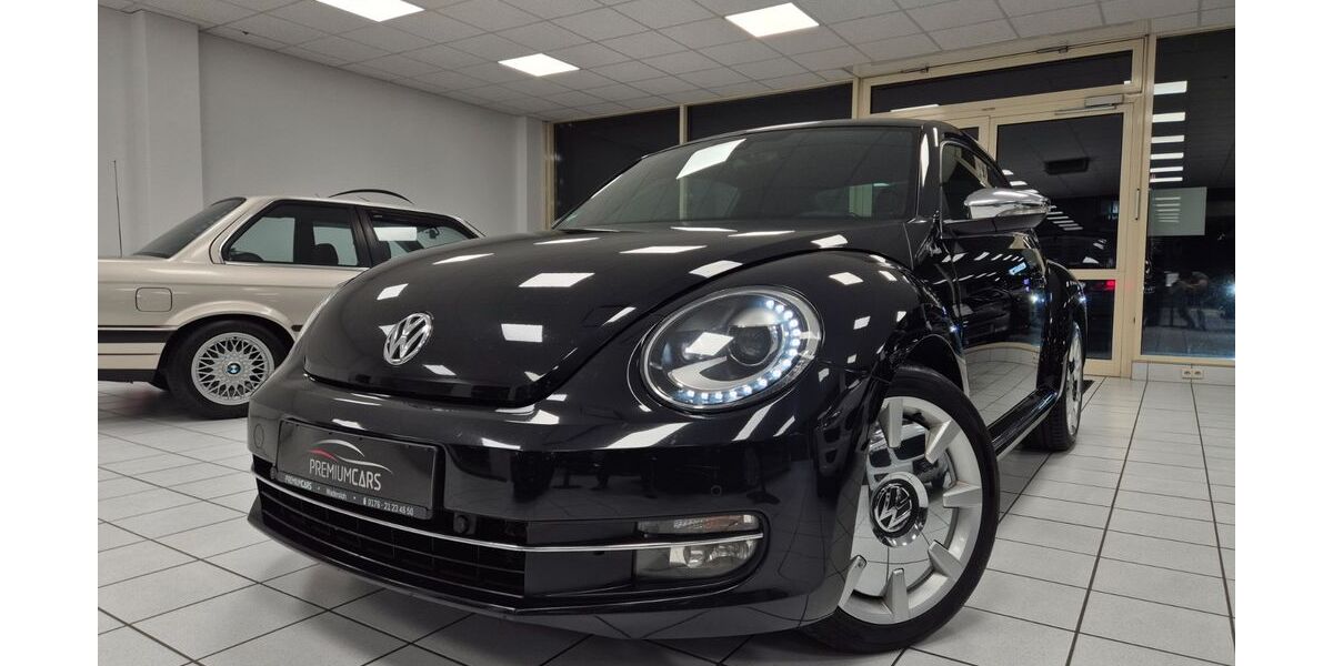 VW Beetle 310.000 km 6.600 &euro; Wadersloh 59329