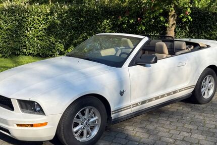 Ford Mustang 53.300 km 11.500 &euro; Münster 48163