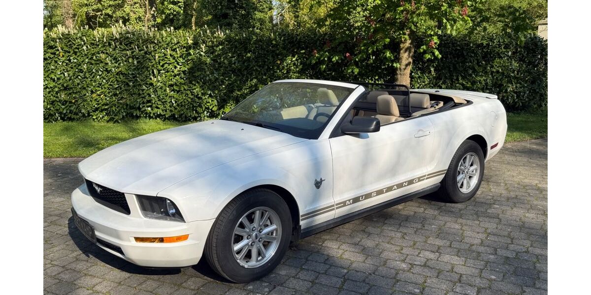 Ford Mustang 53.300 km 11.500 &euro; Münster 48163