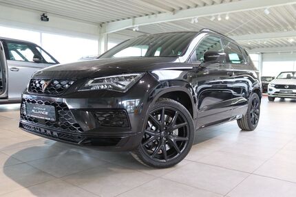Cupra Ateca 119.800 km 22.990 &euro; Oelde 59302