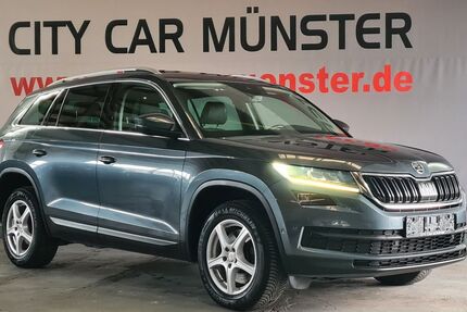 Skoda Kodiaq 245.000 km 17.500 &euro; Münster 48165