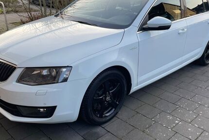 Skoda Octavia 132.500 km 12.400 &euro; Münster 48153