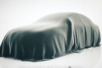 Alpine A290 1.500 km 37.589 &euro; Münster - Amelsbüren 48163