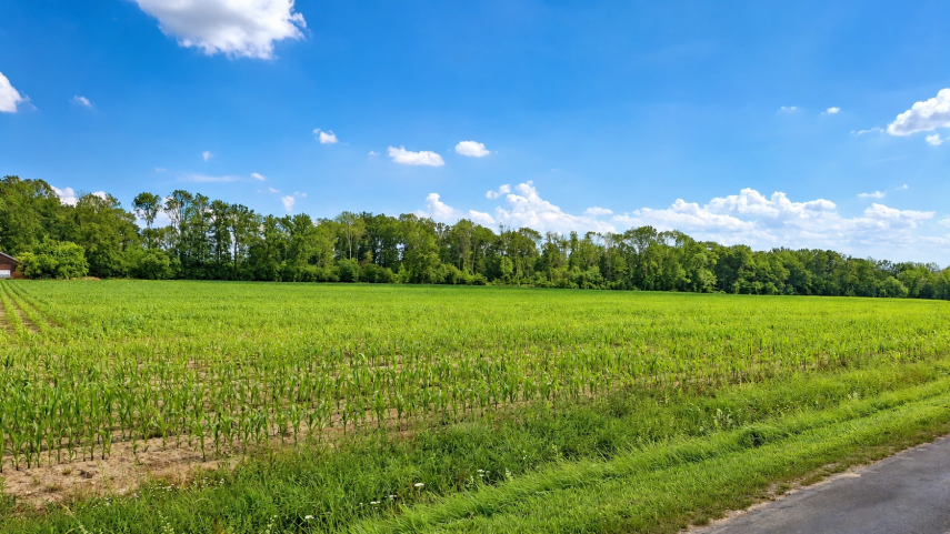 landwirtschaftliche Ackerfläche in Beckum zu verkaufen - Grundstück Beckum | Angebot:27178207
