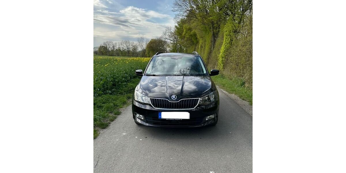 Skoda Fabia 98.000 km 9.990 &euro; Soest 59494