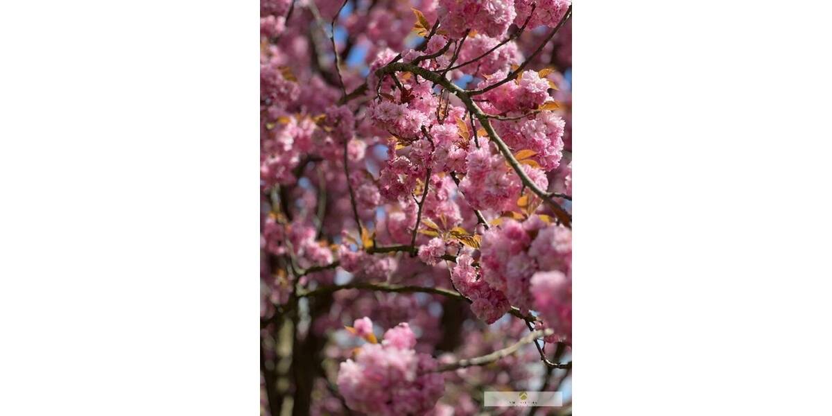 Etagenwohnung Werl Büderich - 3 Zimmer, 68 m&sup2;, 565&euro; | Angebot:26217695