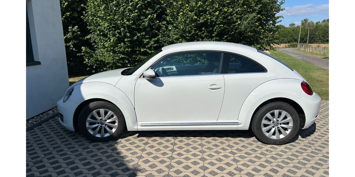 VW Beetle 136.239 km 7.450 &euro; Hamm 59077