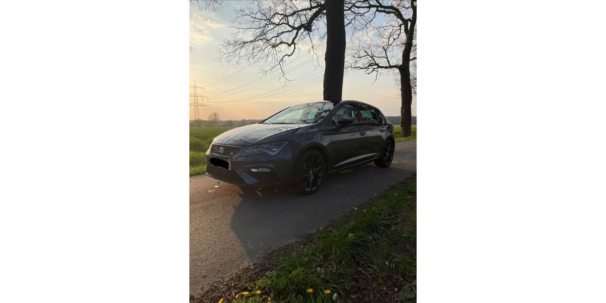 Seat Leon 52.000 km 16.999 &euro; Münster 48145