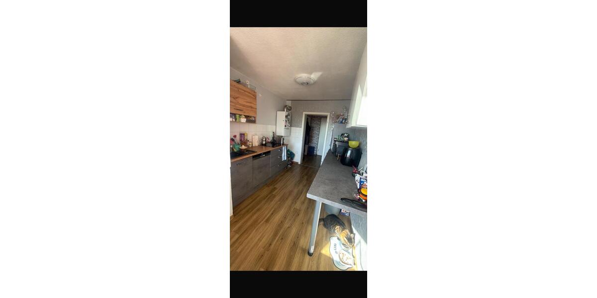 Etagenwohnung Kamen - 2.5 Zimmer, 54 m&sup2;, 415&euro; | Angebot:25311568