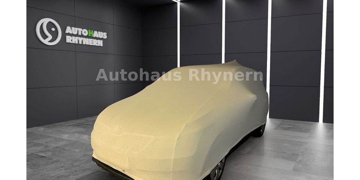 Skoda Fabia 20.700 km 16.390 &euro; Hamm 59069