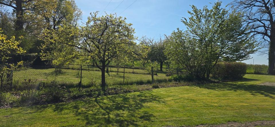 Einfamilienhaus Ennigerloh - 10 Zimmer, 250 m&sup2;, 550.000&euro; | Angebot:26754243