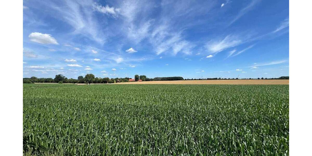 Einfamilienhaus Lippetal Schoneberg - 4 Zimmer, 137 m&sup2;, 395.000&euro; | Angebot:25744577