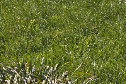 Wohnung Münster - 2 Zimmer, 50 m&sup2;, 1.200&euro; | Angebot:25921597