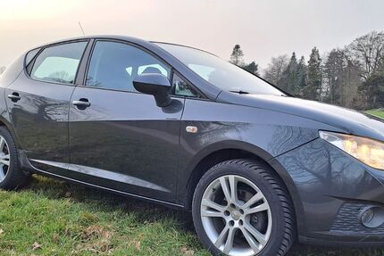 Seat Ibiza 93.950 km 3.990 &euro; Beelen 48361