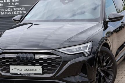Audi Q8 98.100 km 38.850 &euro; Beckum 59269