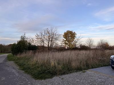 BAUEN MIT WEITBLICK  SELTENE TOP-HANGLAGE - Grundstück Langenberg | Angebot:26161259