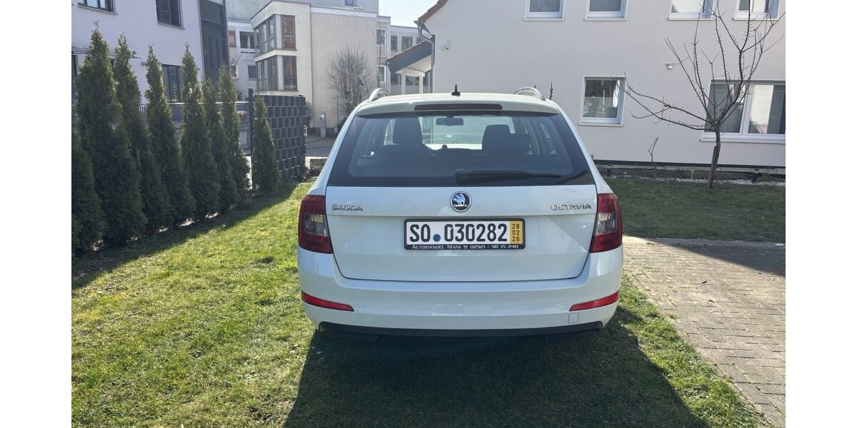 Skoda Octavia 306.000 km 5.999 &euro; Soest 59494