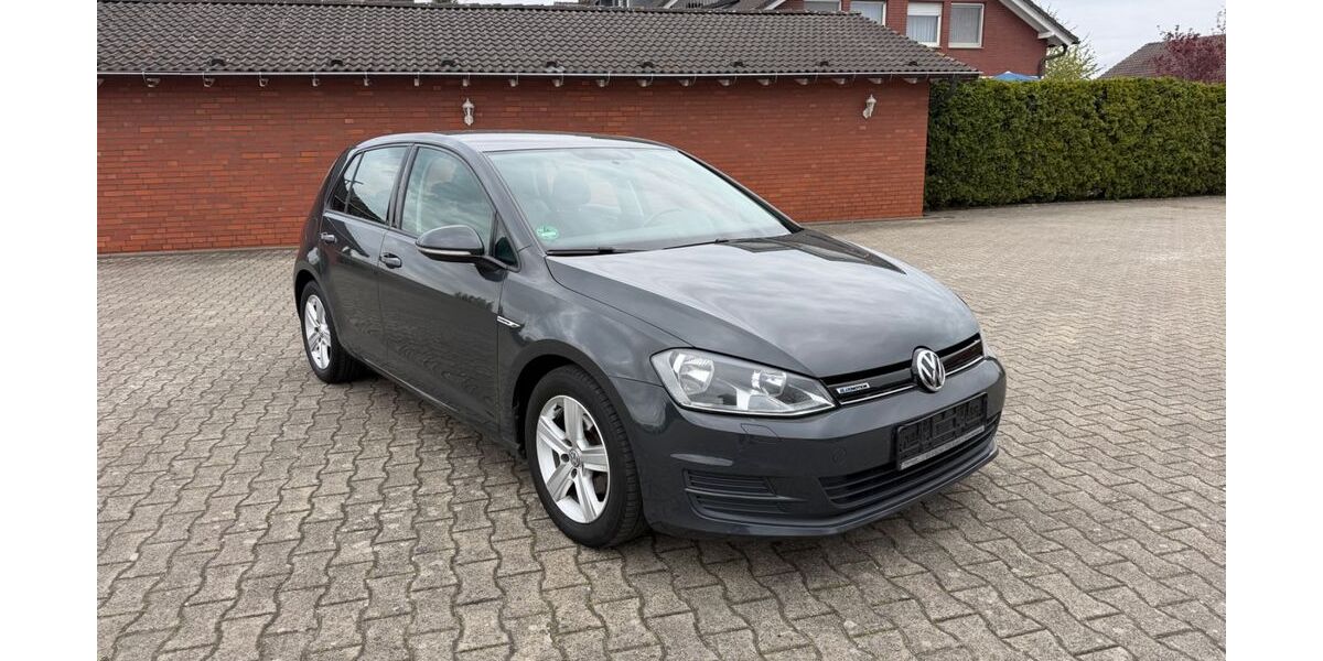 VW Golf 220.000 km 6.990 &euro; Ascheberg 59387
