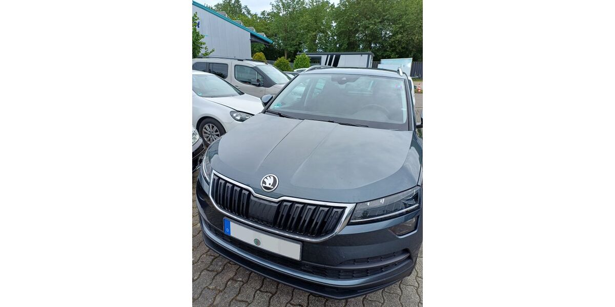 Skoda Karoq 99.900 km 19.191 &euro; Hamm 59069