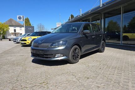 Skoda Fabia 113.864 km 9.500 &euro; Lippetal 59510