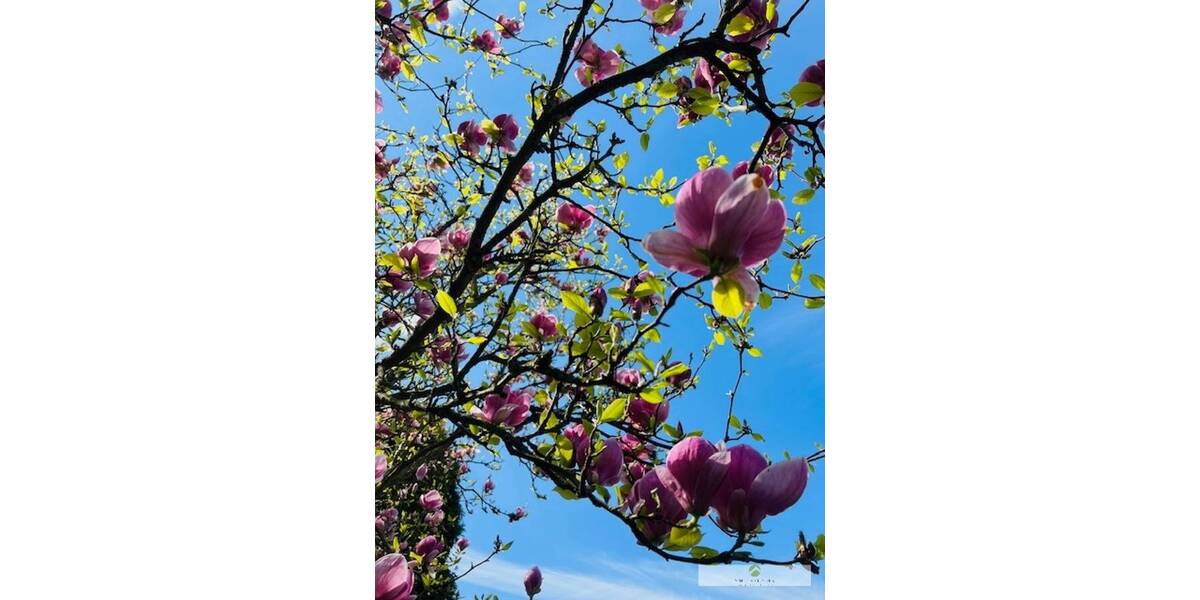 Etagenwohnung Werl Büderich - 3 Zimmer, 68 m&sup2;, 565&euro; | Angebot:26217695