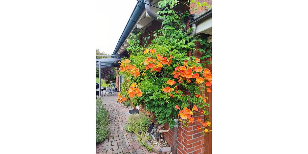 Einfamilienhaus Lippetal - 5 Zimmer, 186 m&sup2;, 495.000&euro; | Angebot:25056737