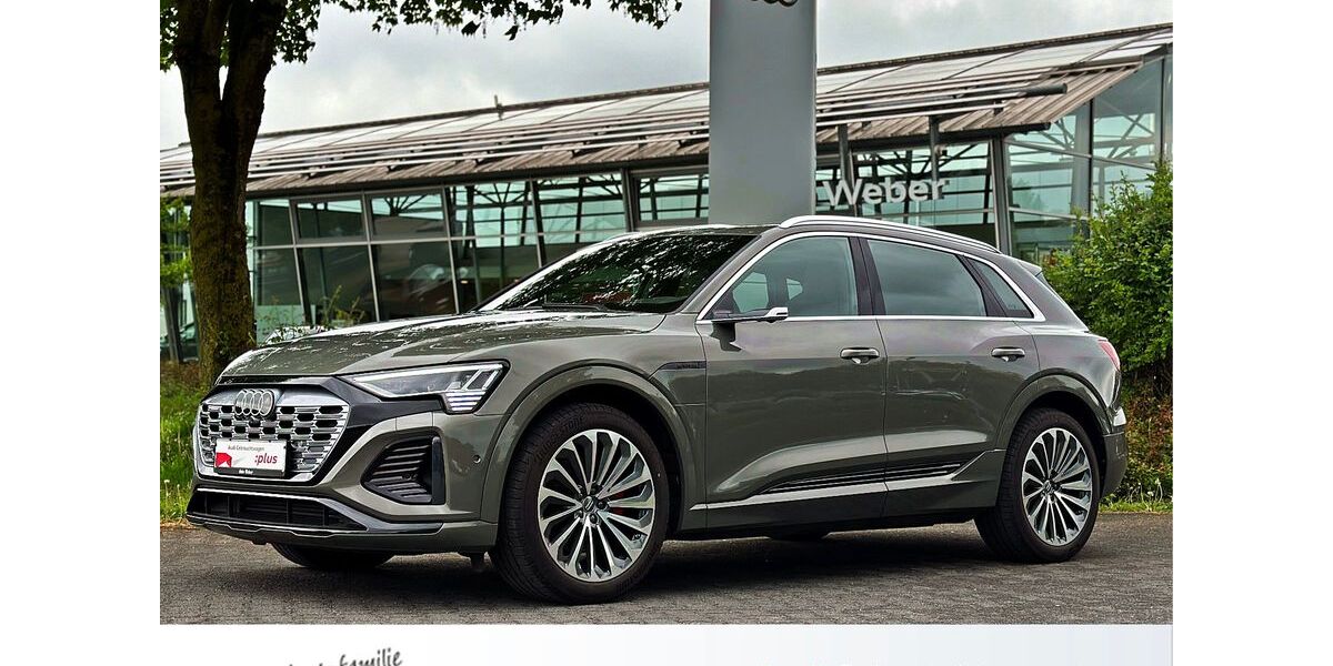 Audi Q8 e-tron 51.290 km 54.960 &euro; Neubeckum 59269