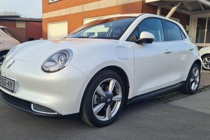 ORA Funky Cat 23.800 km 16.666 &euro; Herzebrock- Clarholz 33442