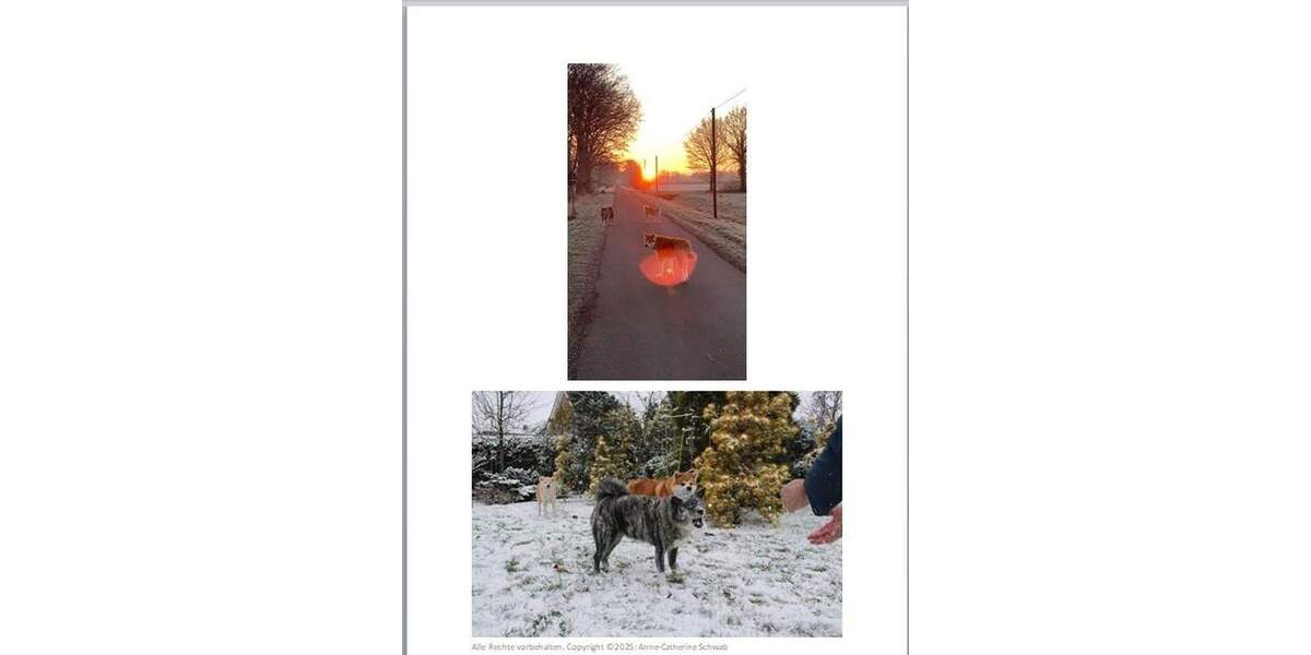 Einfamilienhaus Ennigerloh-Ostenfelde Ostenfelde - 1 Zimmer, 301 m&sup2;, 1.075.000&euro; | Angebot:25722378