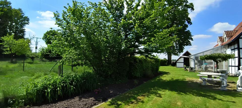 Einfamilienhaus Ennigerloh - 10 Zimmer, 250 m&sup2;, 650.000&euro; | Angebot:25380800