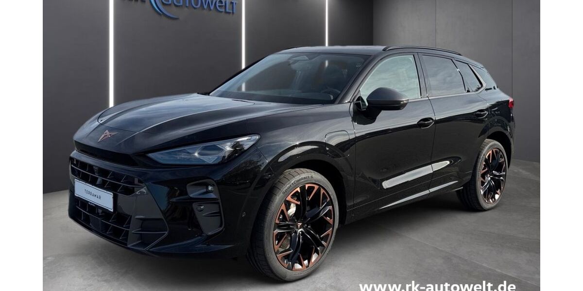 Cupra Terramar 9.900 km 45.790 &euro; Ennigerloh 59320