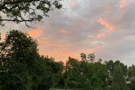 Wohnung Münster Berg Fidel - 5 Zimmer, 190 m&sup2;, 2.370&euro; | Angebot:25650439